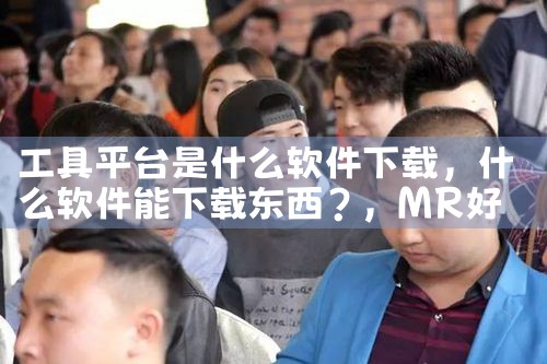 工具平台是什么软件下载|MR好色