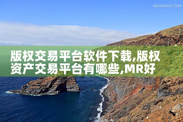 版权交易平台软件下载|MR好色