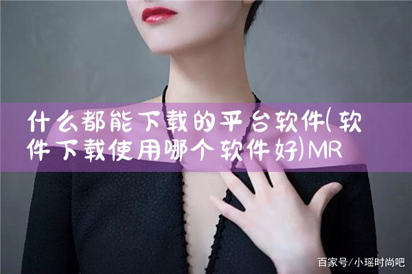 什么都能下载的平台软件|MR好色