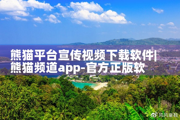 熊猫平台宣传视频下载软件|P站专业版