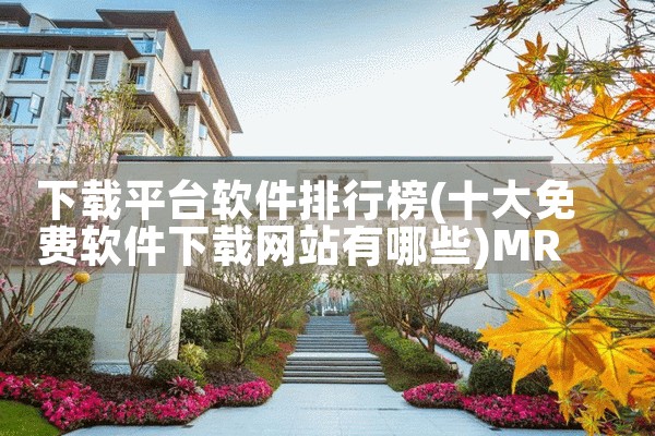 下载平台软件排行榜|MR好色