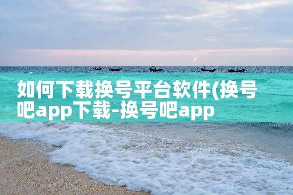 如何下载换号平台软件|P站专业版