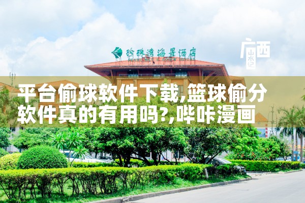 平台偷球软件下载|哔咔漫画