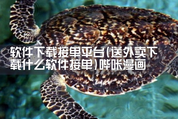 软件下载接单平台|哔咔漫画