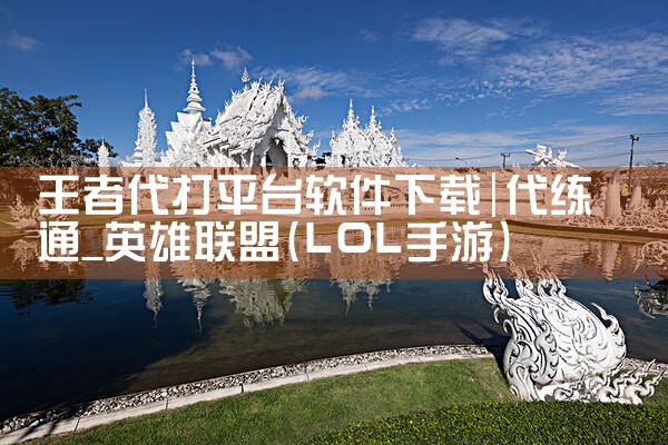 王者代打平台软件下载|MR好色