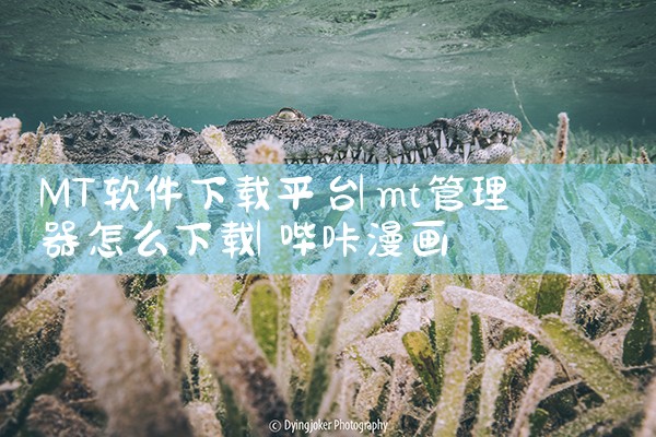 MT软件下载平台|哔咔漫画