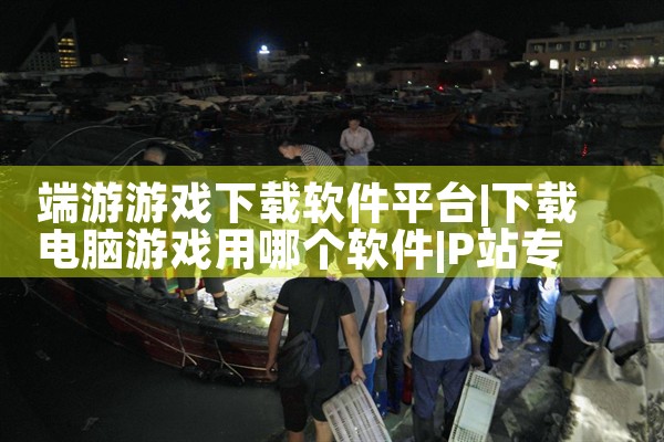 端游游戏下载软件平台|P站专业版