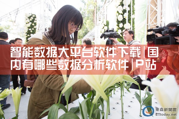 智能数据大平台软件下载|P站专业版
